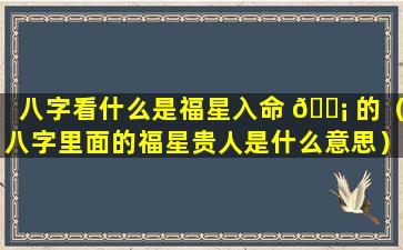 八字看什么是福星入命 🐡 的（八字里面的福星贵人是什么意思）